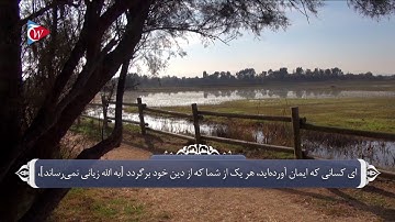 مجازات مرتد_سوره مائده آیه 54