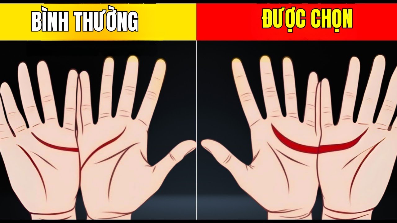 Trăng Lưỡi Liềm Trong Lòng Bàn Tay Bạn? 5 ĐIỀU SẼ XẢY RA Với Bạn Trong Năm 2025!