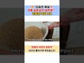 🔥 “감칠맛 폭발💥 여름 실파김치 끝판왕!” 찹쌀풀 NO!! 반드시 OO이 들어가야 합니다!!