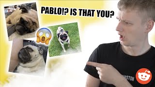 Pablo Doppelgängers!?