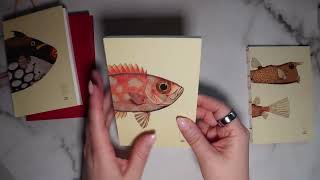 NEW Paper Republic Unboxing Pocket