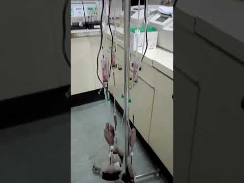بنك الدم تحاليل طبية