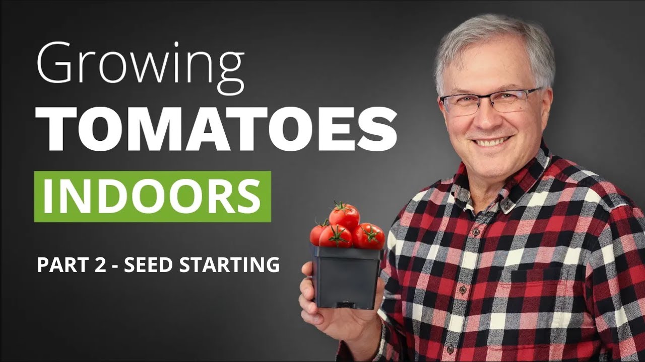 Start Tomatoes from Seed Indoors with Grow Lights 🍅 YouTube
