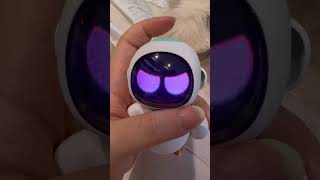 The battle of pronouncing Eilik! #eilikrobot #airobot #robot #pronouncenames