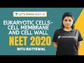 Eukaryotic Cells - Cell Membrane and Cell Wall | Cell - The Unit of Life | Biology | NEET 2020