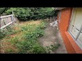 Small Courtyard Disaster Receives Full Treatment | Garden Renovation & Free Pressure Washing