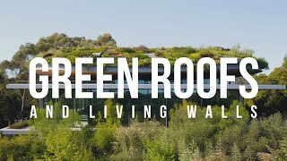 Top Green Roof & Living Wall Masterpieces: You Won't Believe These Exist!
