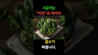 시금치는 이것과 먹어야 흡수가 빠릅니다.  #시니어건강 #시금치반찬 #건강식단 #60대식단 #뇌건강음식 #기억력도움 #건강정보 #시금치요리 #건강반찬
