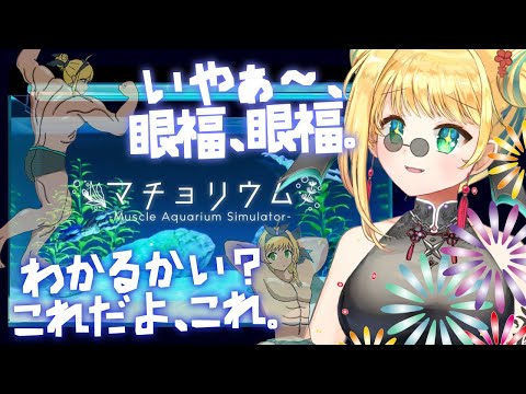【夏🏊企画！】マチョリウム　水槽の中の癒し…マッチョを飼う。【緑魔キャロライン】