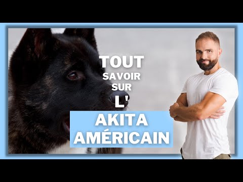 Vidéo: Problèmes de santé connus avec Akita