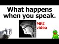 How your VOCAL ORGANS work: MRI video explained!