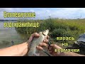 Рыбалка на Смолевичском водохранилище.Карась,бычёк,плотва.