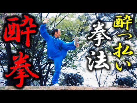 短時間 大幅値下げ中！ ■ 全解 酔八仙拳 酔拳 カンフー 短時間 大幅値下げ中！ □ 全解 酔八仙拳 酔拳 カンフー 短時間