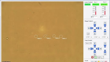 Thorlabs Optical Tweezers Microscope System Software