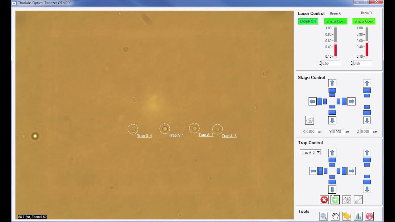 Thorlabs Optical Tweezers Microscope System Software YouTube