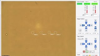 Thorlabs Optical Tweezers Microscope System Software