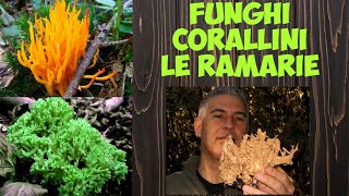 Funghi corallini le Ramarie [sub Eng ]