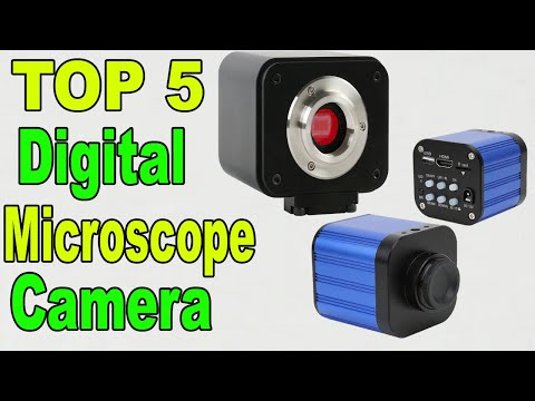 Top 5 Best Digital Microscope Camera In 2020 | C Mount Video Microscope Camera | Aliexpress