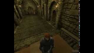 Mount & Blade Dance Bug