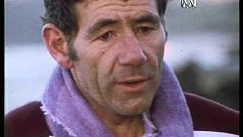 ABC News: Tom Hafey (1974)