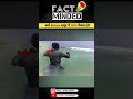 क्यों Britain समुद्र में पत्थर फेंकता है? Why Britain throw rocks in ocean? #shorts #facts #viral