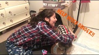 BarkBox Unboxing | Ginger Won't Get Off!