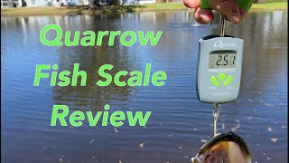 Quarrow Fish Scale Review [EASY to Use!] (Link Below ⬇️) screenshot 4