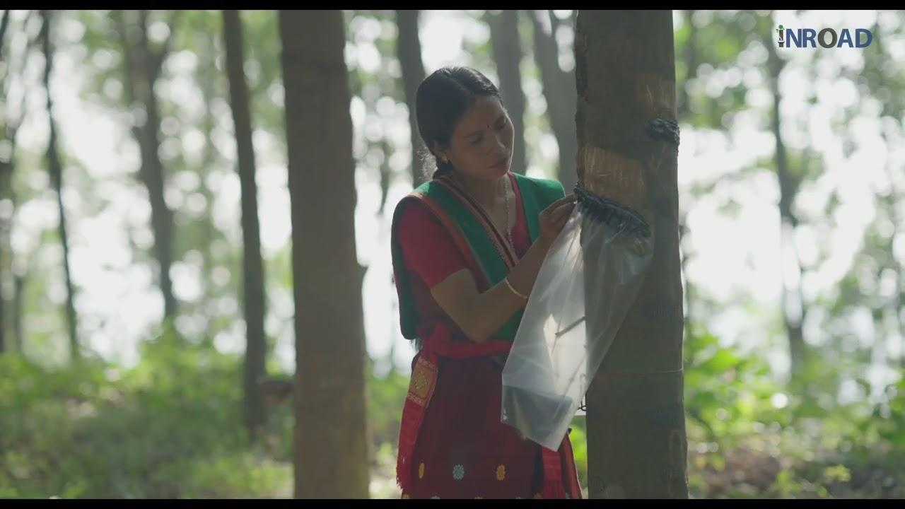 Rain-guarding the crop through the monsoon, shown step by step in Bengali
