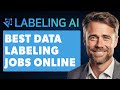 Best data labeling jobs online to make money full 2024 guide