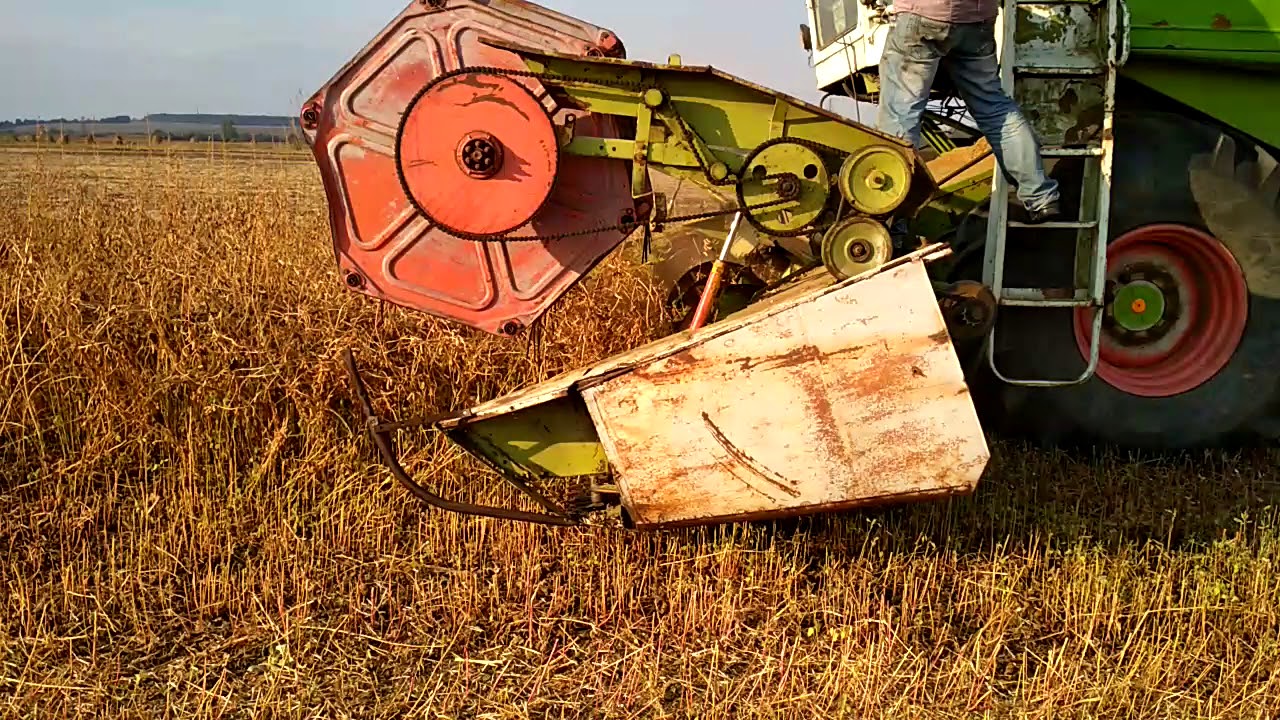 Class Dominator 106 уборка сои 2018