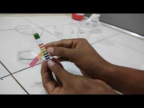 How to use Universal pH strip/pH paper