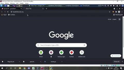 picoCTF /2021\ {Python Wrangling}