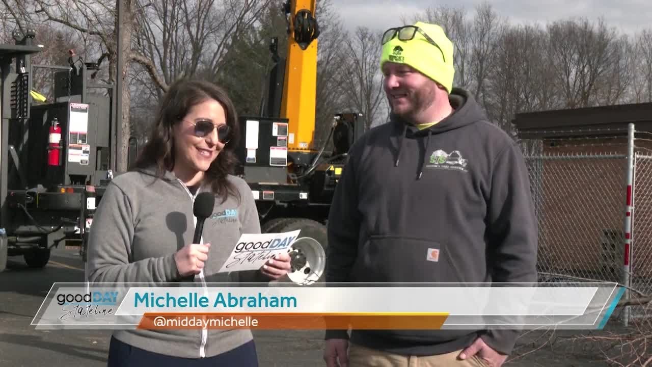 Safe and contained tree removal with Sisson’s Tree Service YouTube