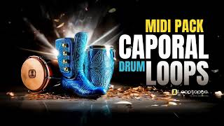 MIDI PACK Caporal Drum Loops (Kontakt) screenshot 4