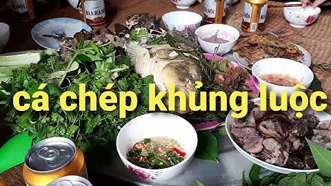 Ẩm thực Biển làm. Cá chép luộc. Thịt chó và cá lóc nướng thơm ngon tuyệt vời