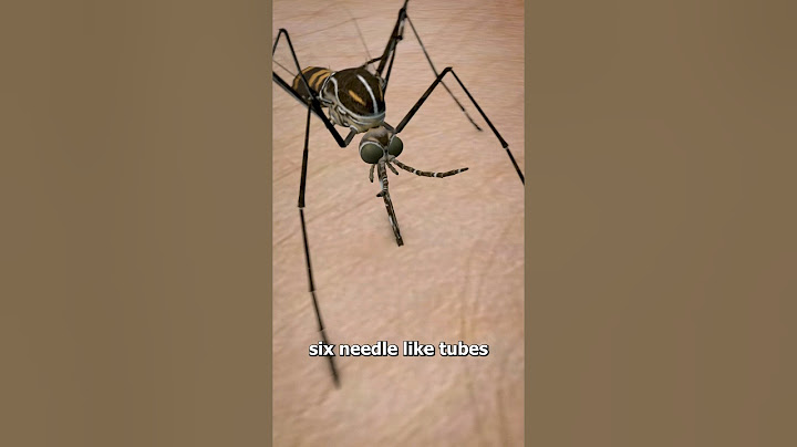 How Mosquitos Suck Your Blood 😨 (yikes)