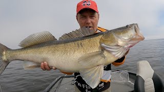 Трофейная  рыбалка с профессиональным  гидом на Рыбинском водохранилище .