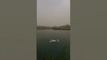 رف يا علم ملا محمد باقر الخاقاني Viral Cricket H2l Reels Foryou 