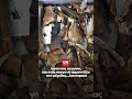 Απρόσμενη ανακάλυψη: Επιστήμονες εντόπισαν σπηλιά γεμάτη απολιθώματα.