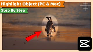 Highlight Object or Area of a Video | CapCut PC Tutorial screenshot 2