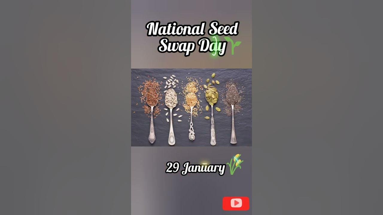 National Seed Swap Day 💚 29 January youtubeshorts shorts seedswap 