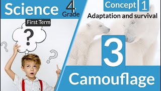 Adaptation and survival lesson 1-3 adaptation for survival - camouflage -science grade 4 first term