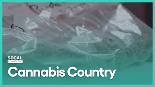 Cannabis Country | SoCal Connected | Season 10, Episode 6 | KCET