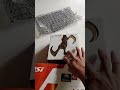 H55 GD65 Motherboard,unboxing