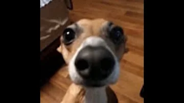 랄로2210 랄로2210