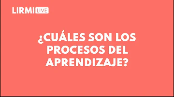 ¿Cuáles son los 5 procesos de aprendizaje?