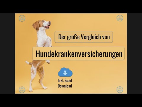 Video: Wie entwirrt verfilztes Hundehaar