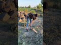 Un día conmigo trabajando, limpiando el jardín y fracasando como jardinera 👩🌾