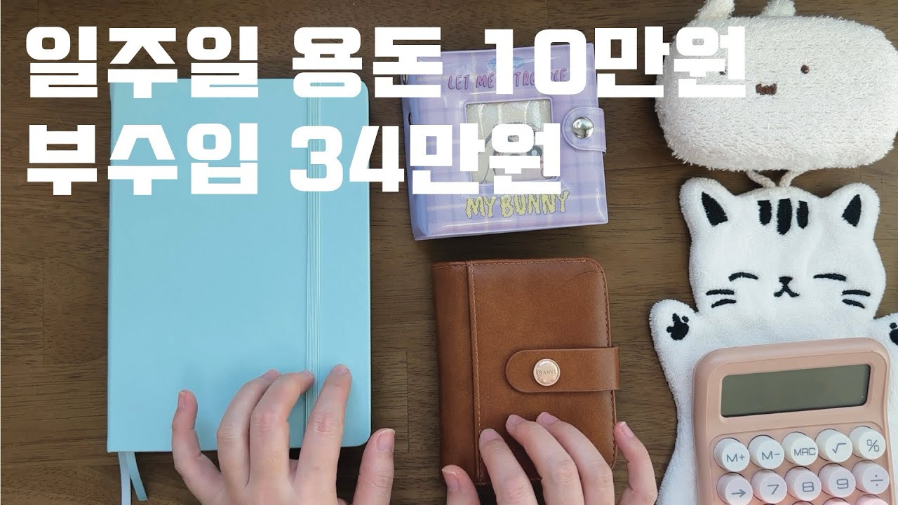 부수입만 거의 한달 용돈이었던 한 주 , 2월 1주차 정산 ㅣ 2월 2주차 예산