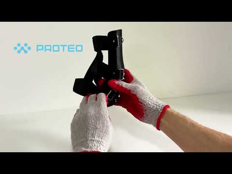 Proteo video